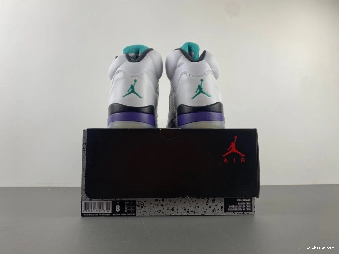 Rep LUCY (2013) Grape 5 Jordan Retro 136027-108 Air 0629